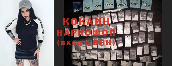 соль ск Сосновый Бор