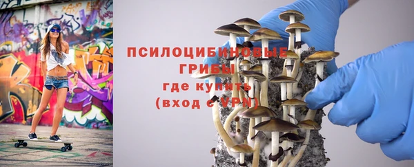 MDMA Белокуриха